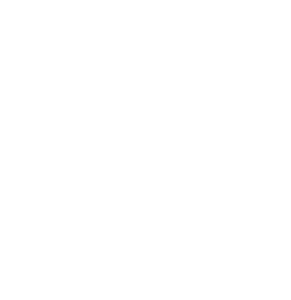 Diamondback ridge vineyard logo in white on a transparent background.